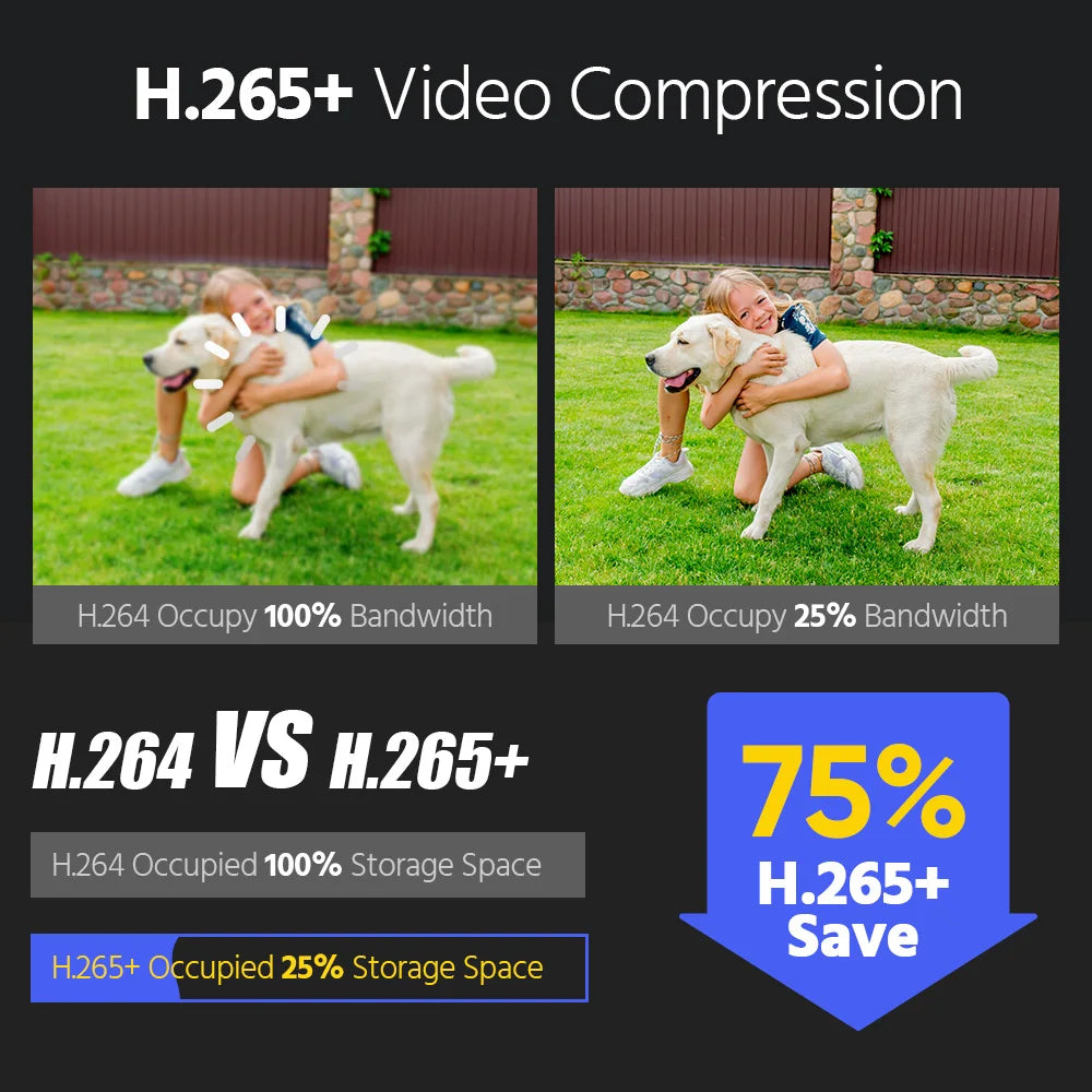 ANNKE 12MP POE Video Surveillance System 8CH NVR With 4/8 PCS 12MP security camera kit IP67 Weatherproof ip camera outdoor