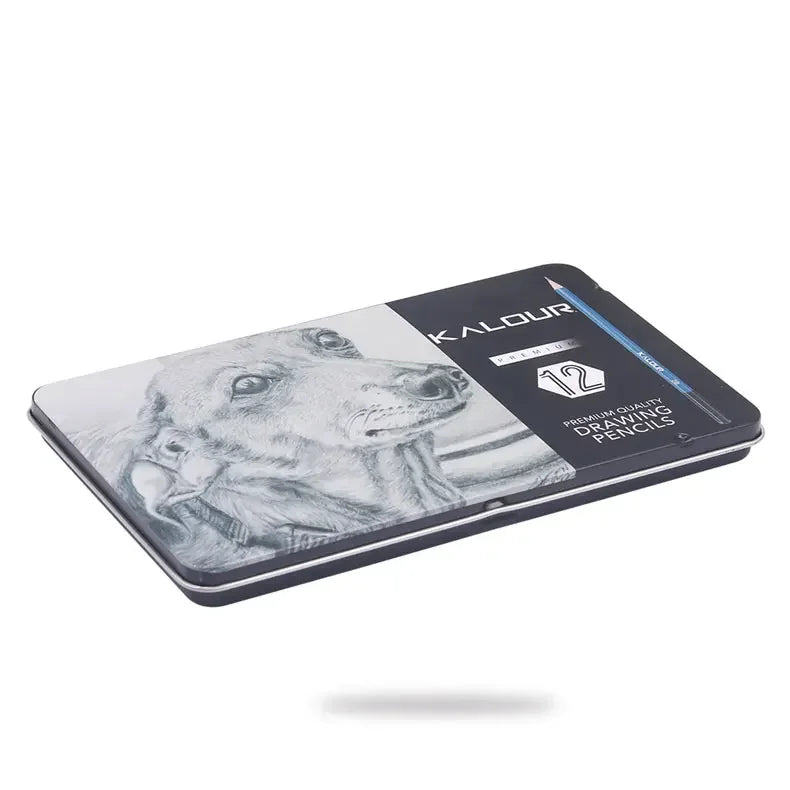 12Pc/Set Professional Sketch Pencil Set HB B 2H 3H 4H 5H 2B 3B 4B 5B 6B 8B Graphite Art Hand-Painted Pen School Stationery